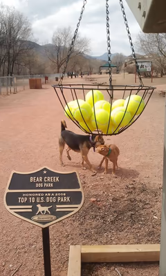 Bear Dog Park